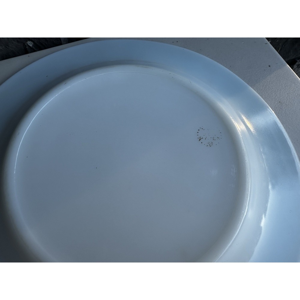Vintage 1950's Pyrex Milk Glass & Turquoise Blue Band 10" Dinner Plate Set of 7 - Picture 5 of 6